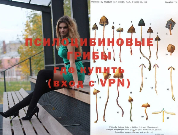 хмурый Баксан
