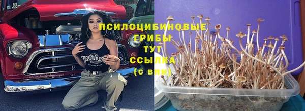 хмурый Баксан